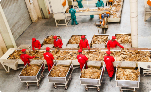 Quality Control Processes 